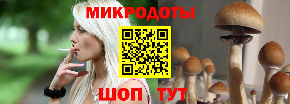 Псилоцибиновые грибы Cubensis Лесной